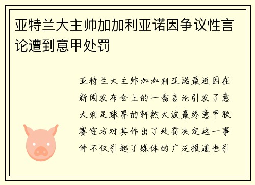 亚特兰大主帅加加利亚诺因争议性言论遭到意甲处罚