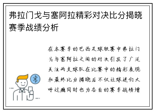 弗拉门戈与塞阿拉精彩对决比分揭晓赛季战绩分析