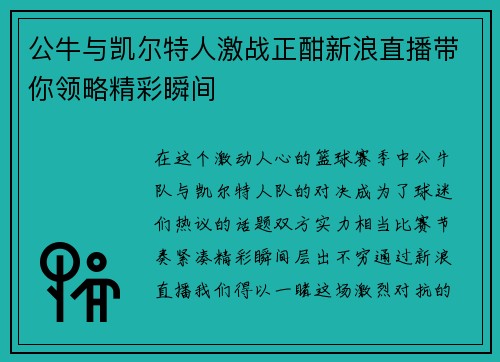 公牛与凯尔特人激战正酣新浪直播带你领略精彩瞬间