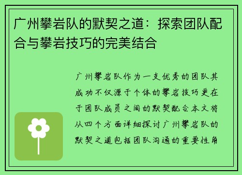 广州攀岩队的默契之道：探索团队配合与攀岩技巧的完美结合