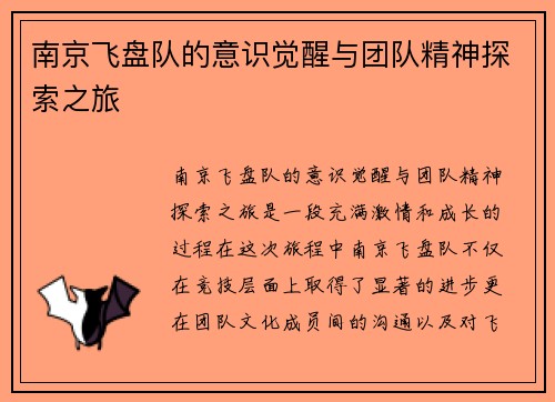 南京飞盘队的意识觉醒与团队精神探索之旅