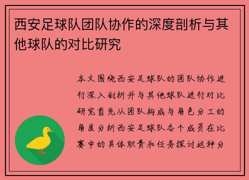 西安足球队团队协作的深度剖析与其他球队的对比研究