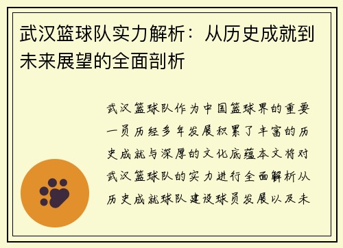 武汉篮球队实力解析：从历史成就到未来展望的全面剖析